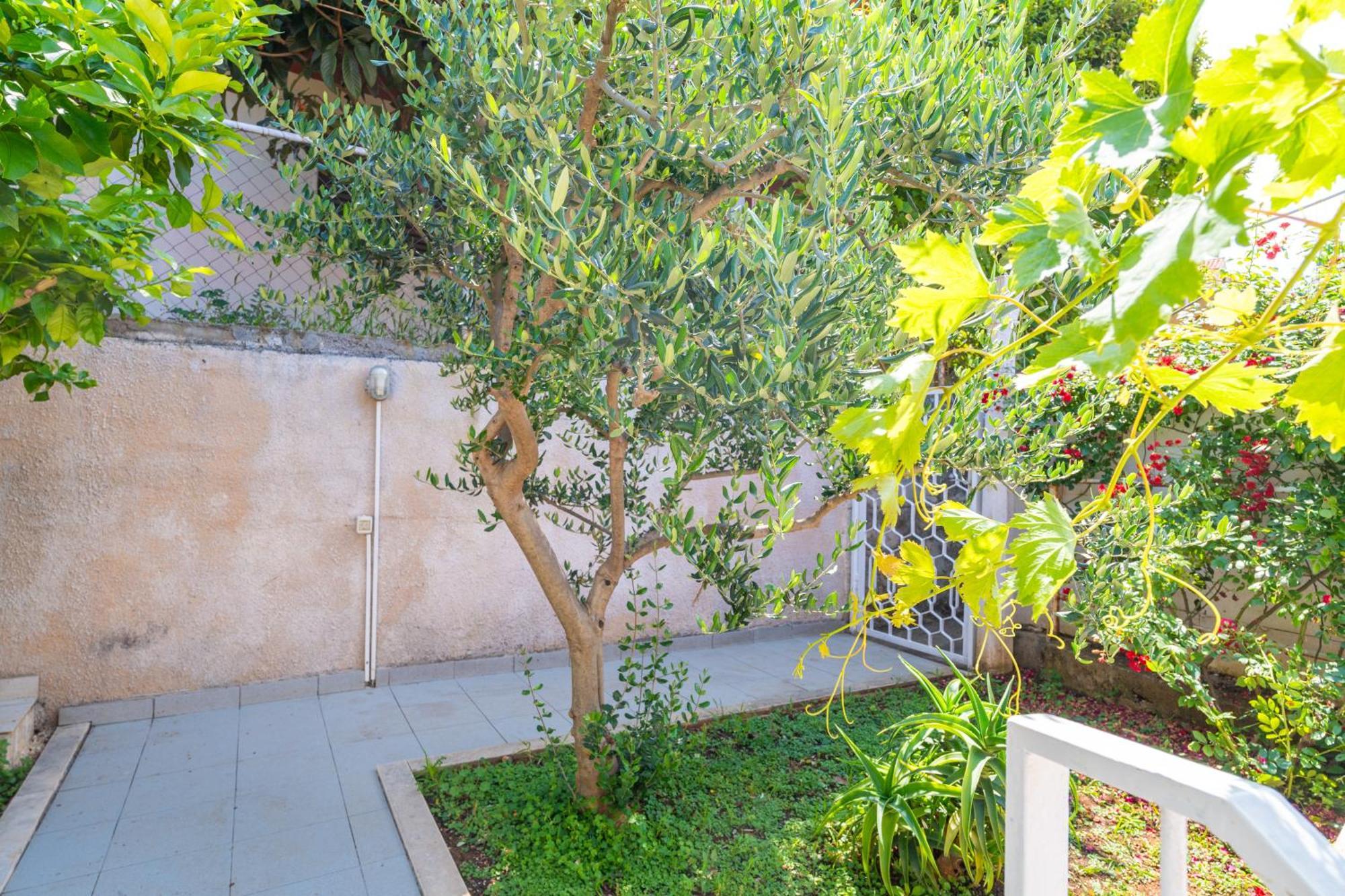 Apartment Laura دوبروفينك المظهر الخارجي الصورة